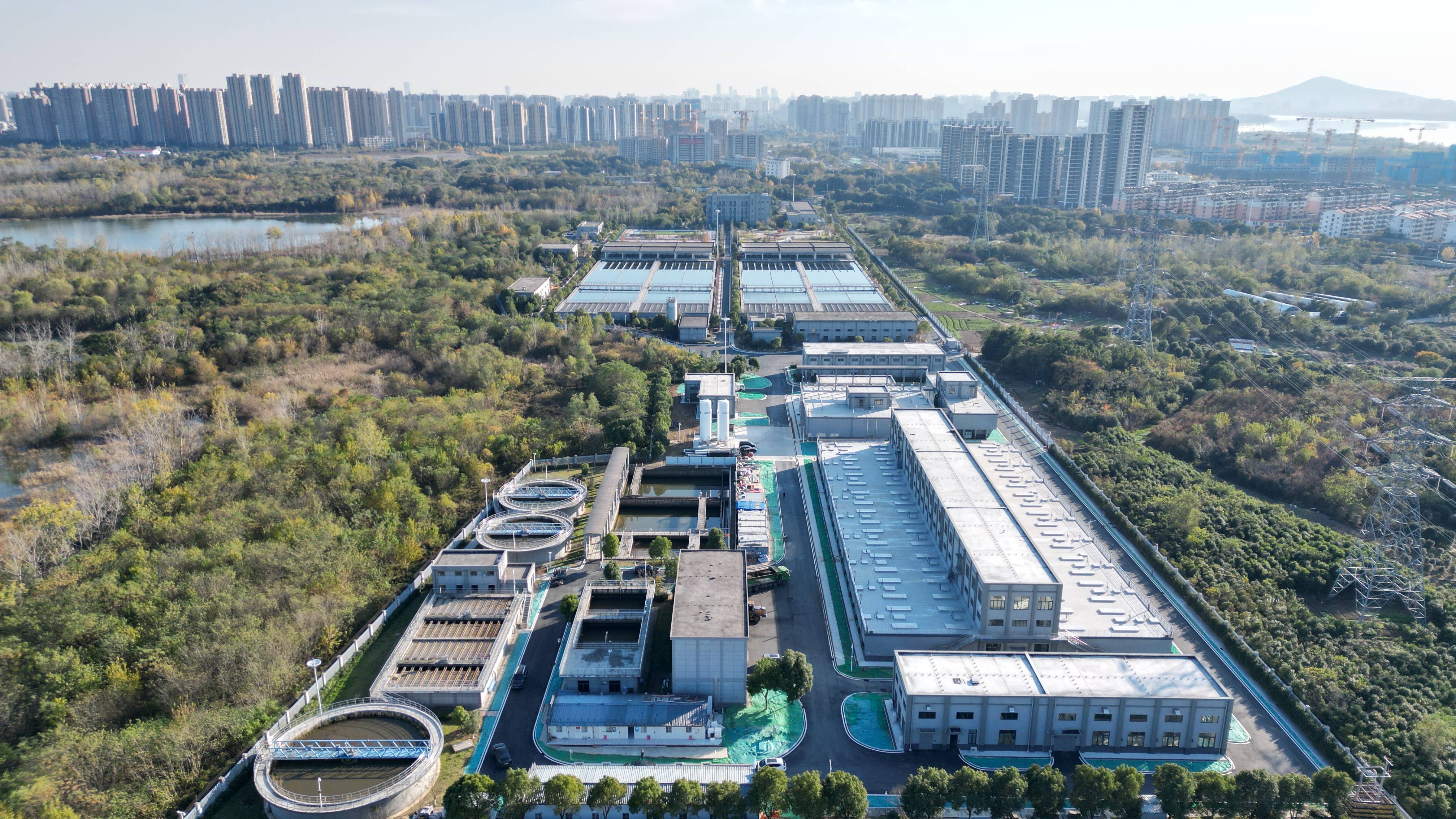 洛阳市合肥专业企业价值增长(合肥市重点企业产业目录)