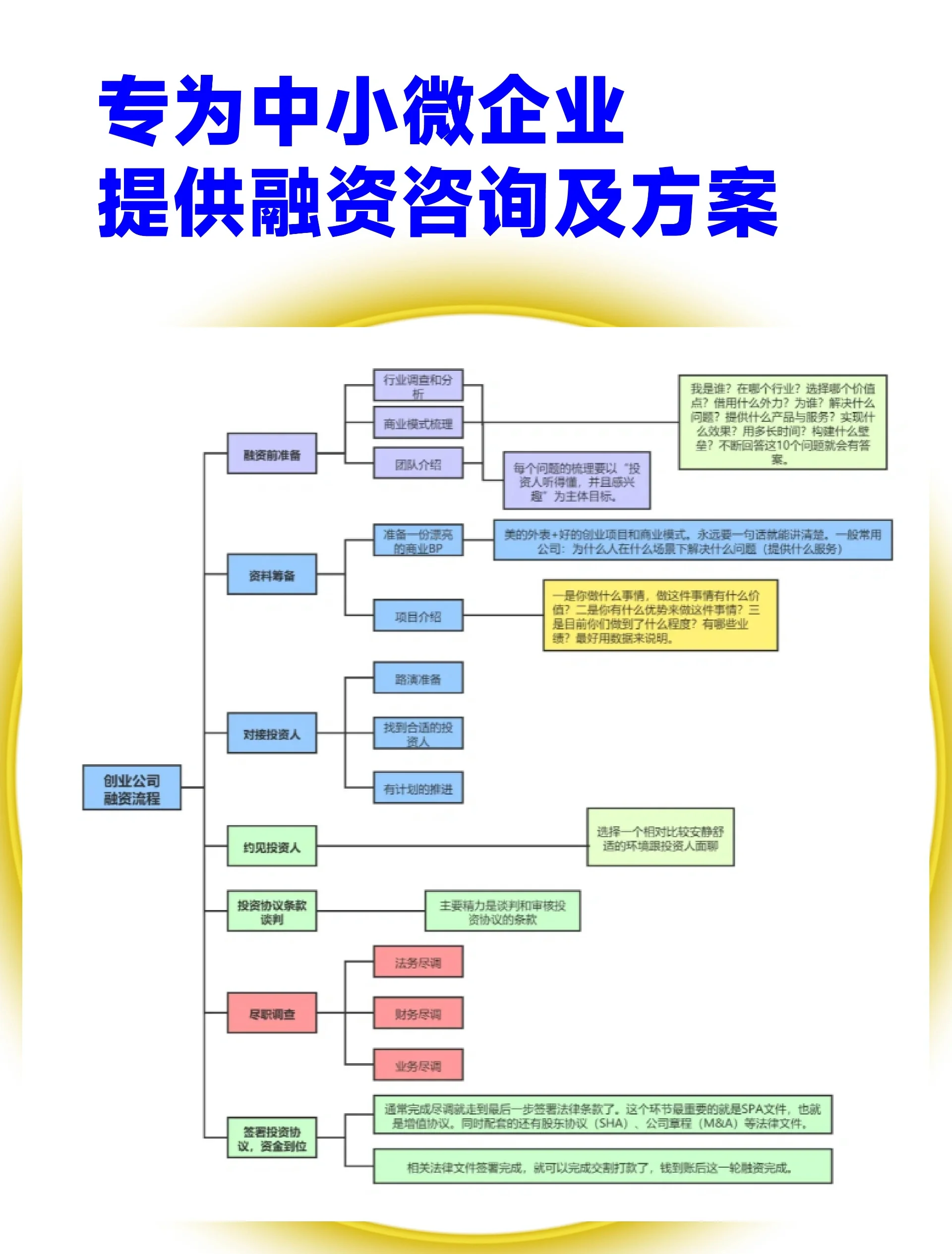 洛阳市宠物企业资金管理(宠物管理机构叫什么)