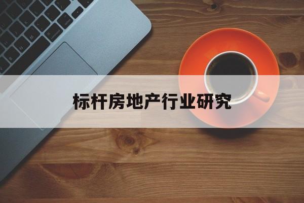 洛阳市标杆房地产行业研究(房地产领域的标杆人物)
