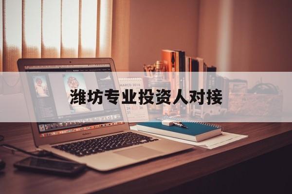 洛阳市潍坊专业投资人对接(潍坊专业投资人对接中心)
