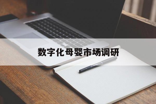 洛阳市数字化母婴市场调研(数字化母婴市场调研报告)